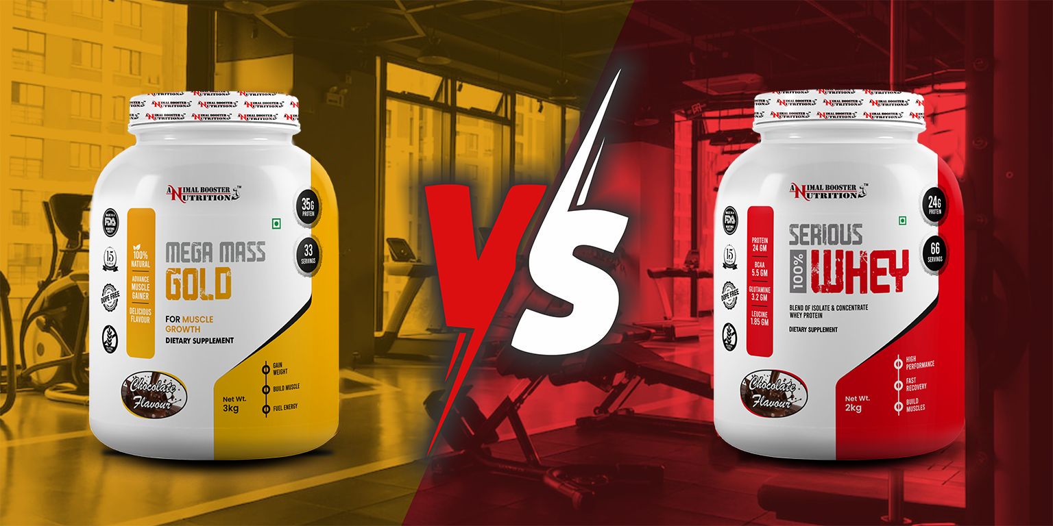 Read more about the article Mass Gainer or Whey Protein: Ultimate showdown