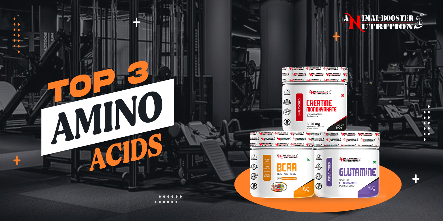 You are currently viewing Top 3 Amino Acids Essential for Optimal Muscle Growth