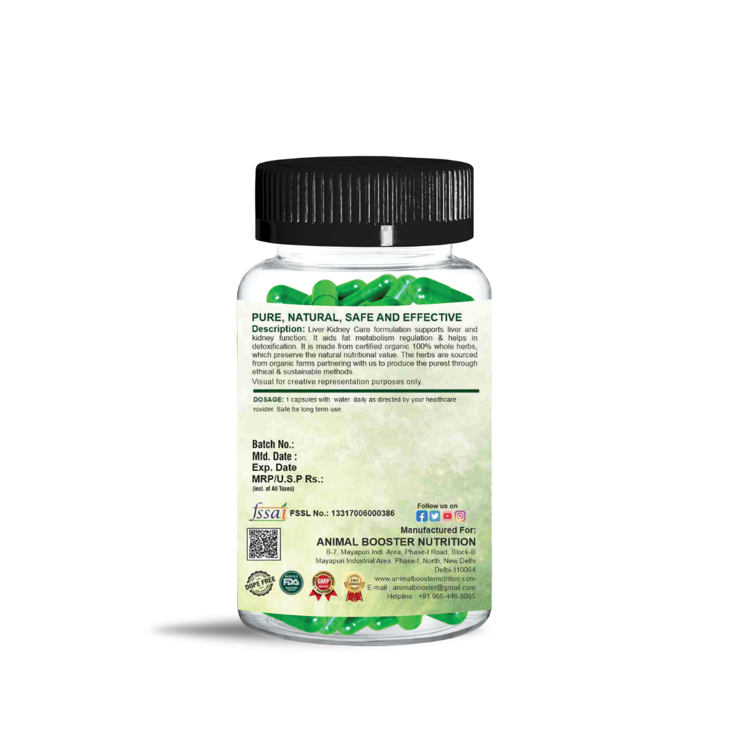 Liver Kidney Booster 60 Capsules Back
